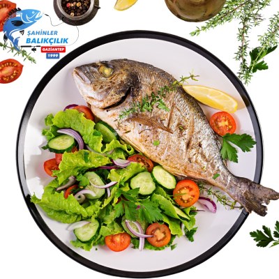 Çipura Balık — Şahinler Balıkçılık