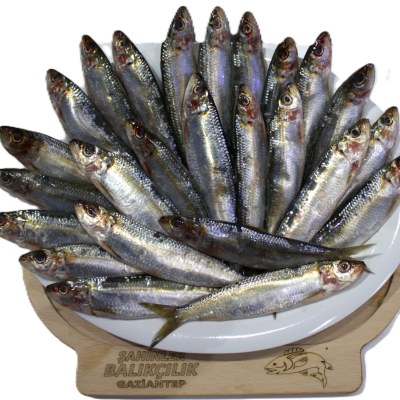 Çiğ Balık — Şahinler Balıkçılık