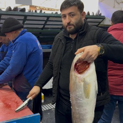 Foto Galeri — Şahinler Balıkçılık