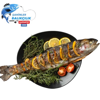 Karadeniz Somon Balık — Şahinler Balıkçılık